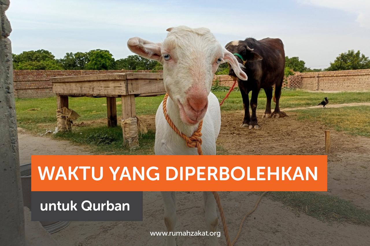 Waktu Pelaksaan Qurban yang Sah Sesuai Syariat Islam