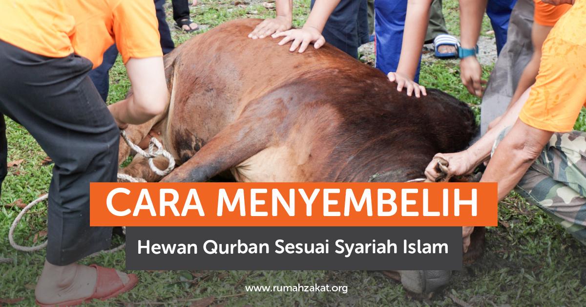 Cara Menyembelih Hewan Qurban Sesuai Syariah Islam