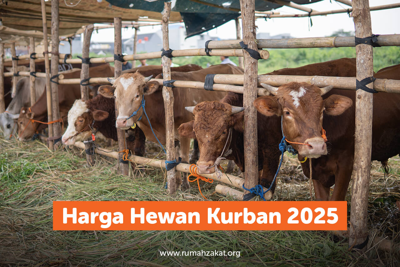 Harga Hewan Kurban 2025 di Rumah Zakat