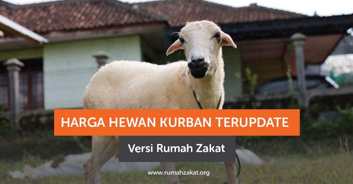 Cek Harga Hewan Kurban Terupdate Versi Rumah Zakat
