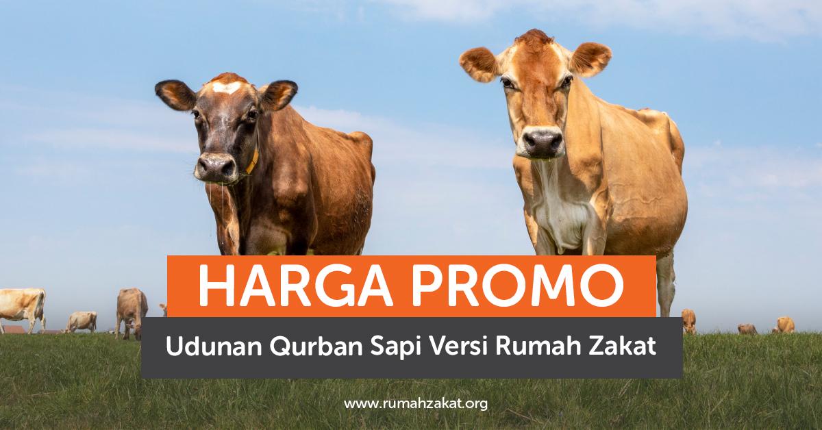 Harga Promo Udunan Qurban Sapi di Rumah Zakat