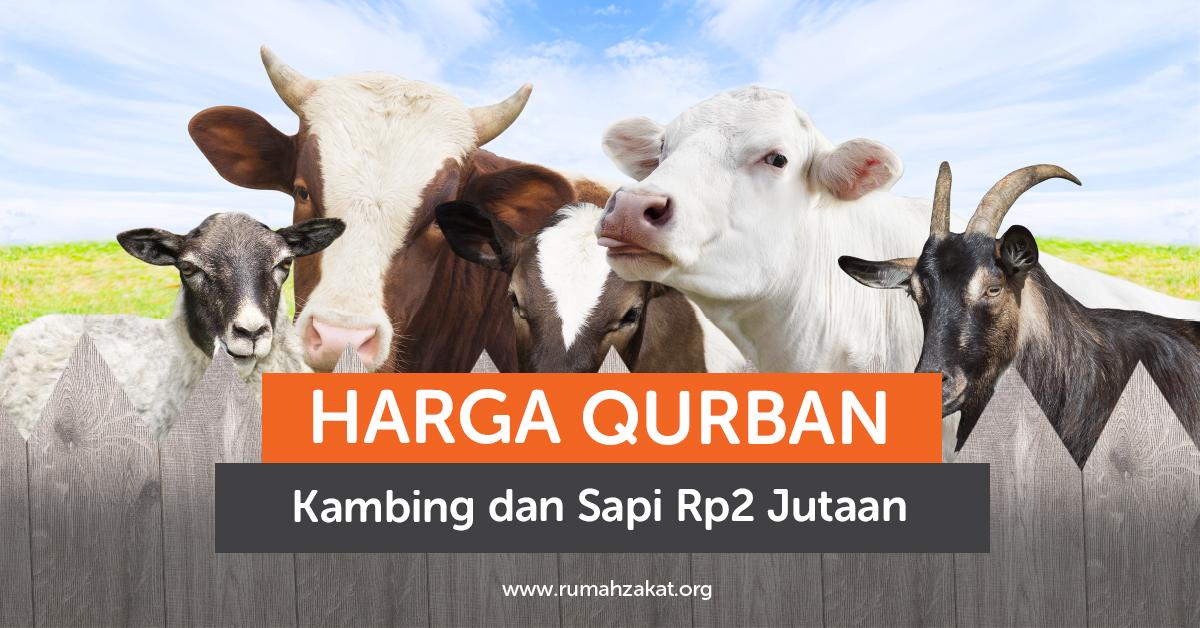 Budget Rp2 Jutaan, Udah Bisa Qurban Sapi atau Kambing