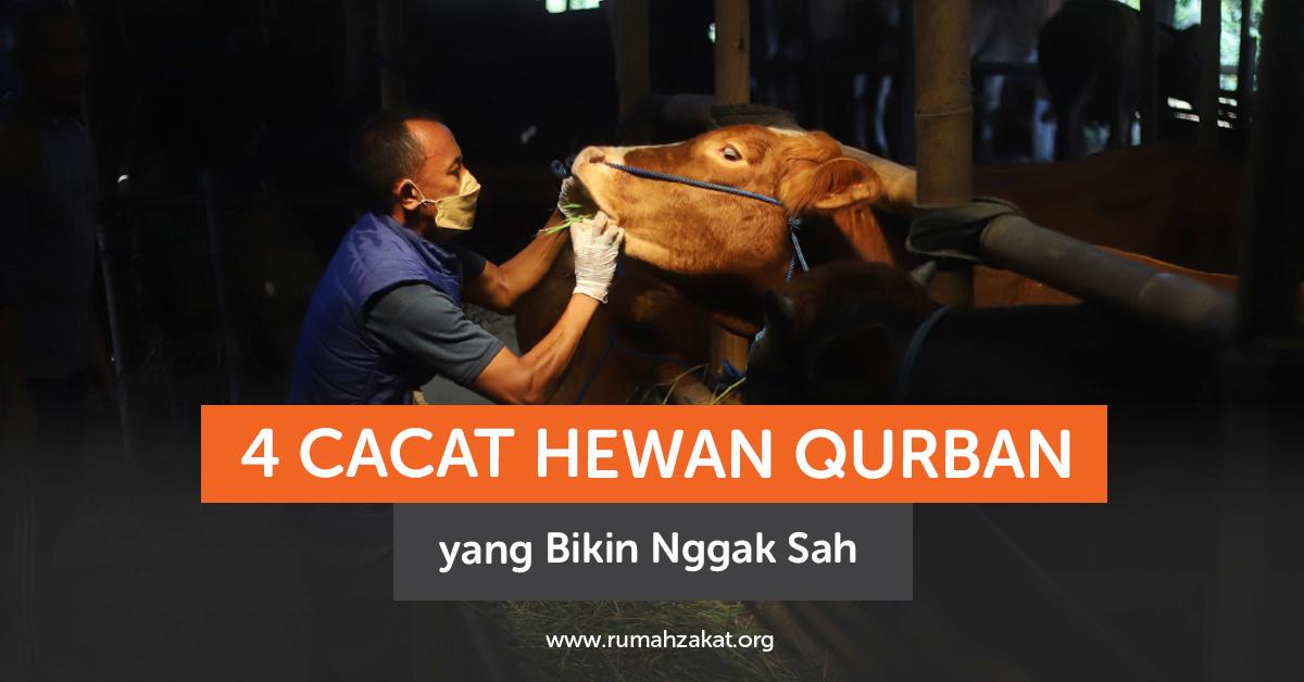 4 Kondisi Hewan yang Bikin Qurban Nggak Sah