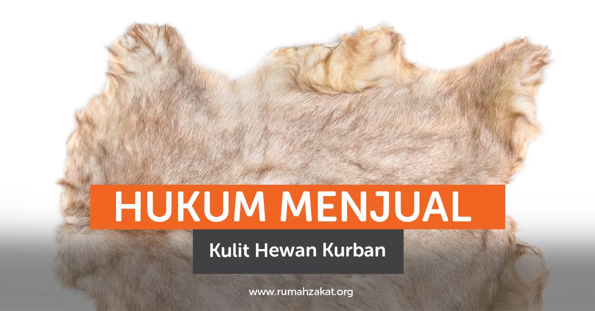 Hukum Menjual Kulit Hewan Kurban
