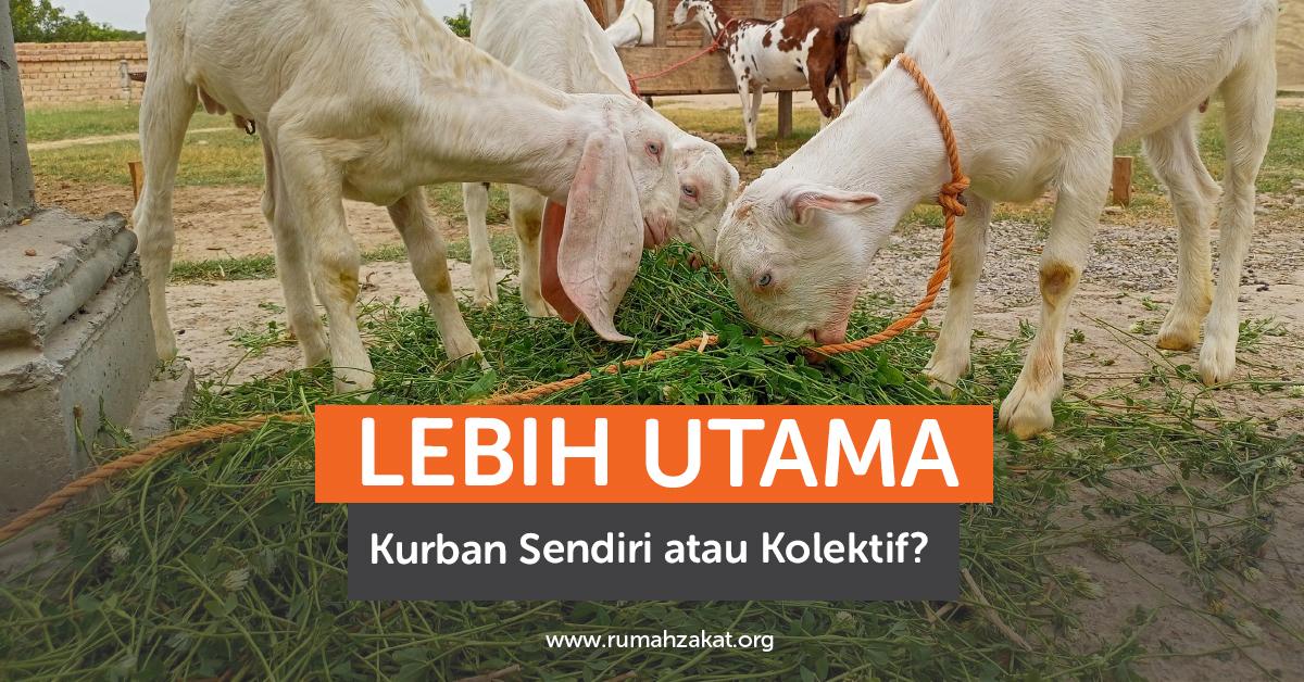 Kurban Sendiri atau Kolektif, Mana yang Lebih Utama?