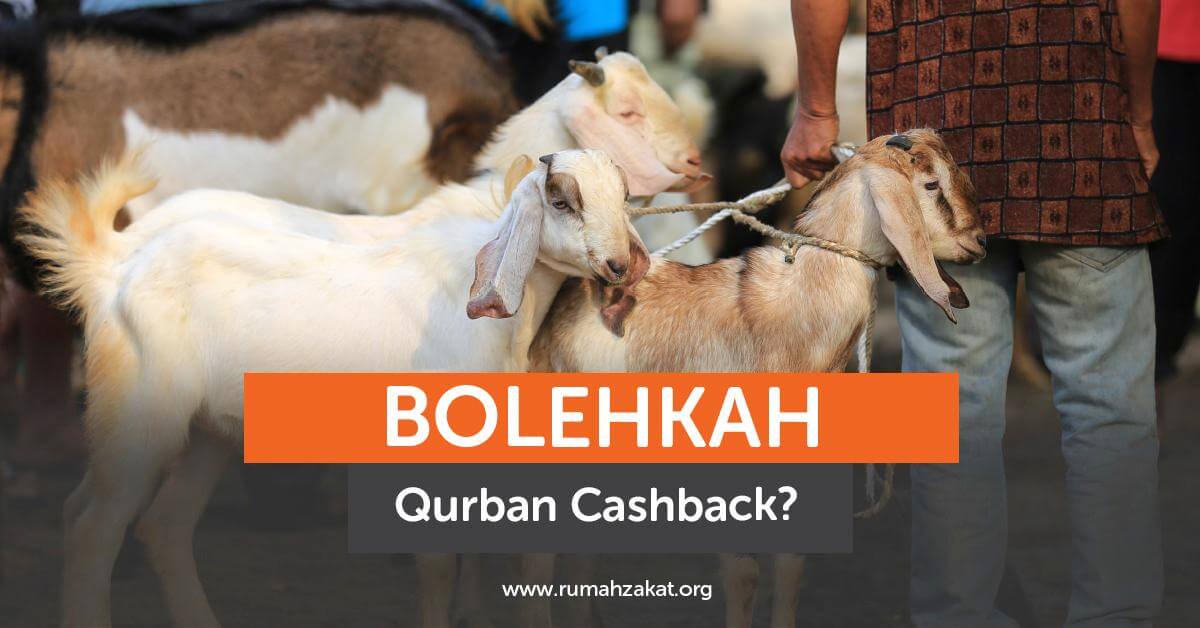 Beli Qurban Dapet Cashback, Bolehkah?