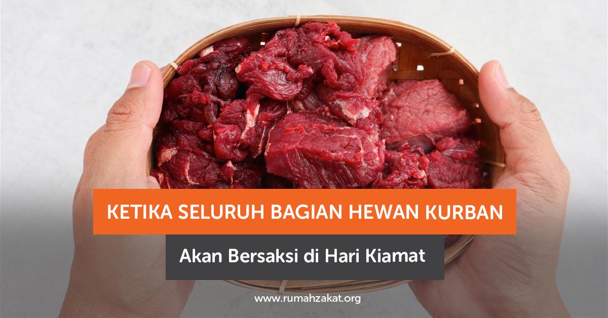 Ketika Seluruh Bagian Hewan Kurban Bersaksi di Hari Kiamat