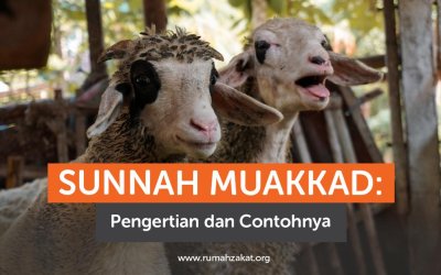 Sunnah Muakkad: Pengertian dan Contohnya yang Perlu Diketahui