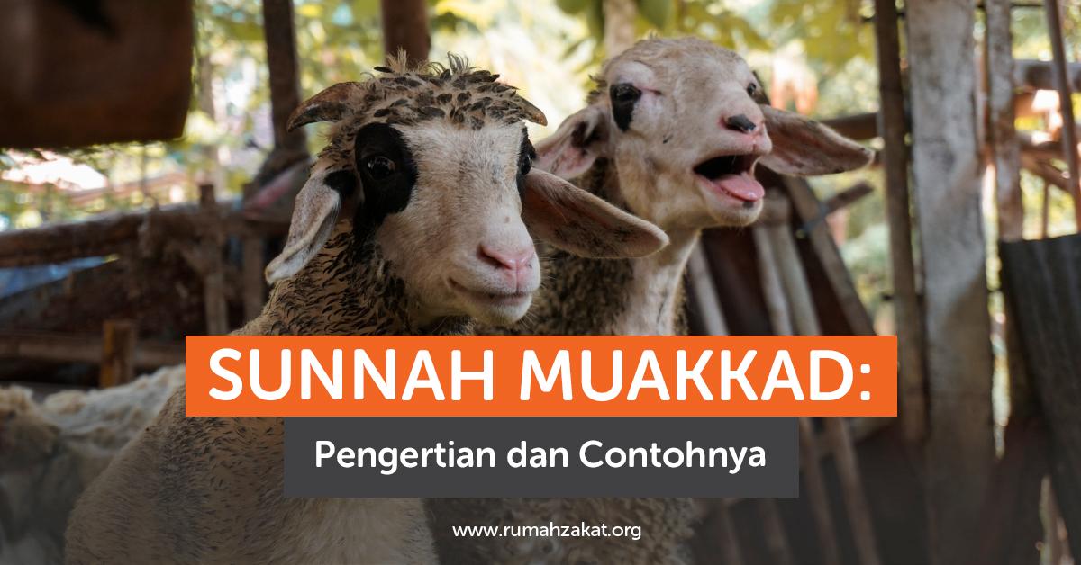 Sunnah Muakkad: Pengertian dan Contohnya yang Perlu Diketahui