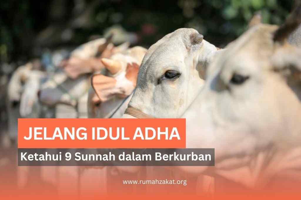 sunnah berkurban sunnah berkurban