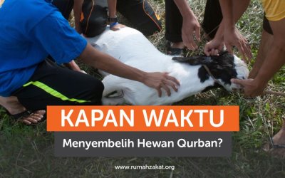 Kapan Waktu Menyembelih Hewan Qurban?