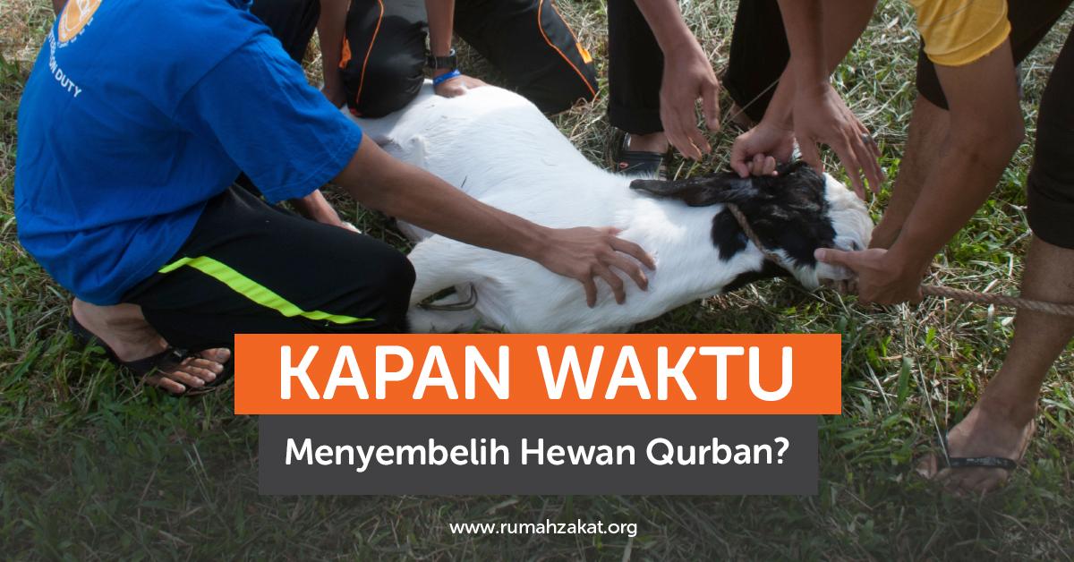 Kapan Waktu Menyembelih Hewan Qurban?