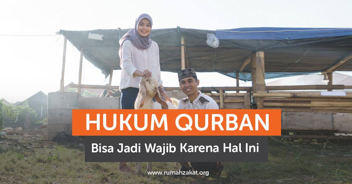 Hukum Qurban Bisa Jadi Wajib karena Hal Ini