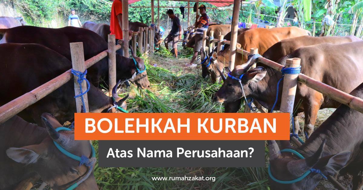 kurban atas nama perusahaan kurban atas nama perusahaan