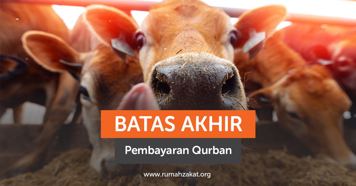 Batas Akhir Bayar Qurban, Catat Tanggalnya