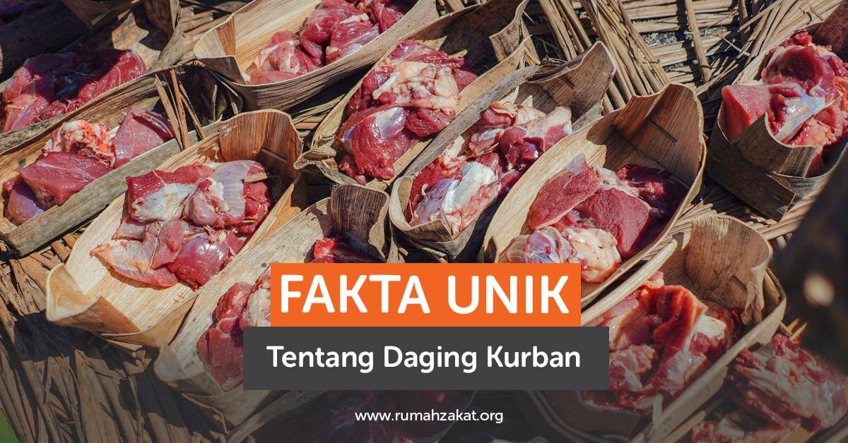 Fakta Unik Daging Kurban Fakta Unik Daging Kurban