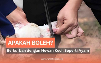 Apakah Boleh Berkurban dengan Hewan Kecil Seperti Ayam? Ini Penjelasannya!