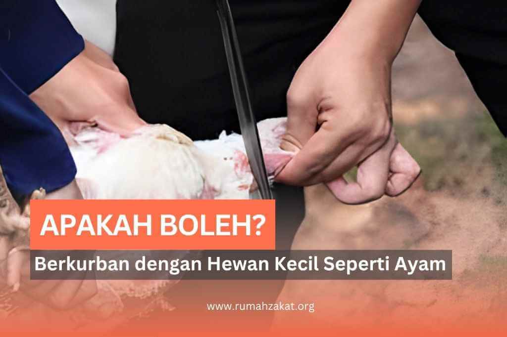 Apakah Boleh Berkurban dengan Hewan Kecil Seperti Ayam? Ini Penjelasannya!