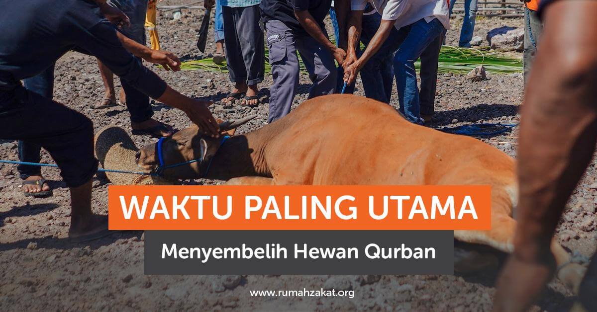 Waktu Paling Utama Sembelih Hewan Qurban Waktu Paling Utama Sembelih Hewan Qurban