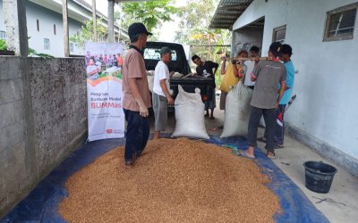 Berdayakan Peternak Lokal Mandiri, Rumah Zakat Edukasi Pakan Berkualitas untuk Domba