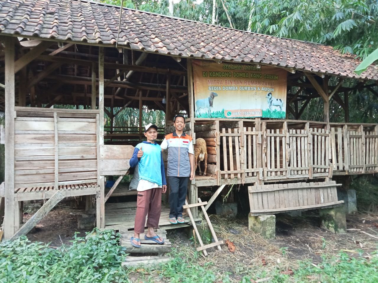 Peternak domba Cikeusik binaan Rumah Zakat