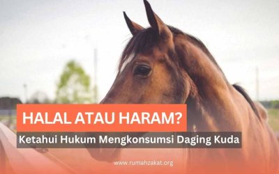 Halal atau Haram? Ketahui Hukum Mengkonsumsi Daging Kuda