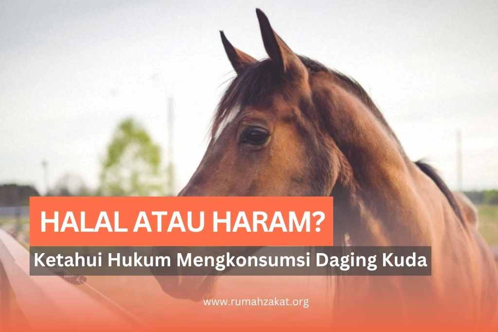 daging kuda halal atau haram