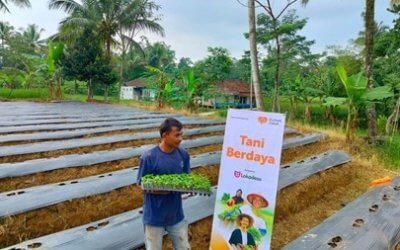 Program Tani Berdaya Rumah Zakat Dampingi Petani Lokal Wujudkan Kemandirian Pangan Lokal