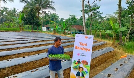 Tani Berdaya Tani Berdaya