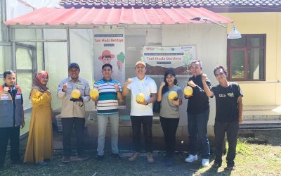 Jamkrindo Bersama Rumah Zakat Cetak Petani Melon Sukses di Pangandaran