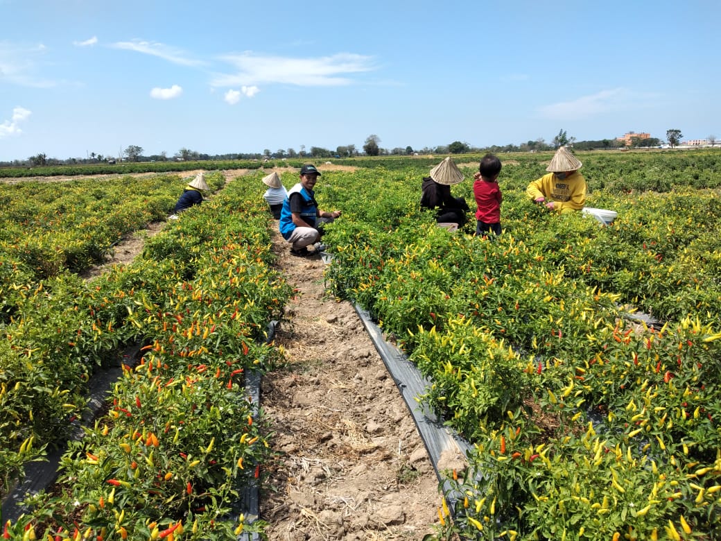 c7085d3d-55f1-49b1-8258-2e28c629ad93