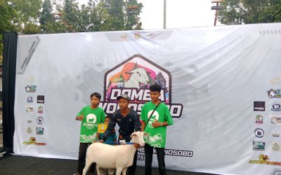 Kelompok Ternak Dombos Ahwa Farm Rumah Zakat Raih Prestasi di Kontes Dombos Piala Bupati 2025