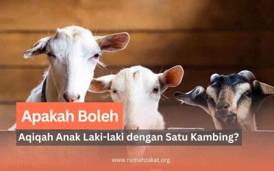 Bolehkah Mengaqiqah Bayi Laki-Laki dengan Satu Kambing Karena Uang Tidak Cukup?
