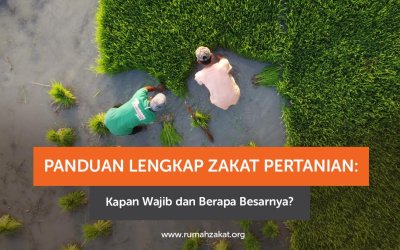 Panduan Lengkap Zakat Pertanian: Nishab dan Besarannya