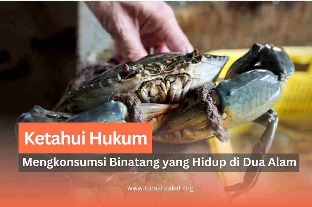 hukum mengkonsumsi binatang yang hidup di dua alam