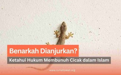 Hukum Membunuh Cicak dalam Islam, Benarkah Dianjurkan?