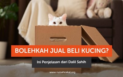 Jual Beli Kucing: Hukum dan Dalil Sahih dalam Islam