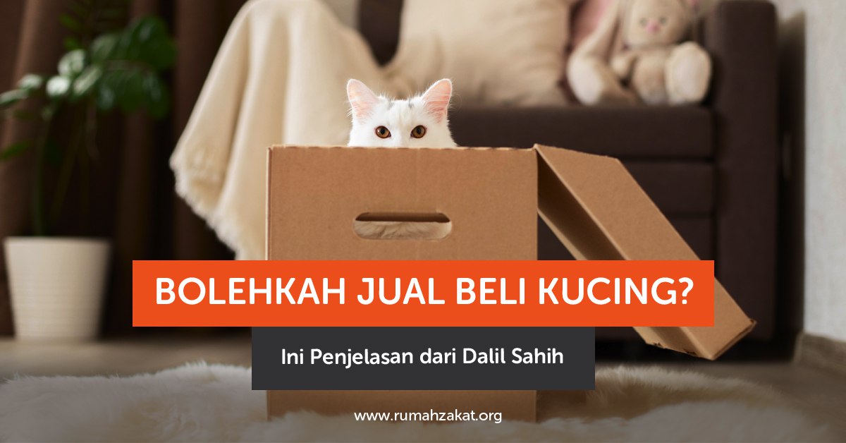 photo_2025-09-23_13-26-22 Ilustrasi jual beli kucing sesuai syariat Islam