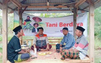 Rumah Zakat Dampingi Petani Cabe Rawit di Desa Kalianget Barat untuk Tingkatkan Ekonomi Warga
