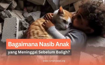 Bagaimana Nasib Anak yang Meninggal Sebelum Baligh?