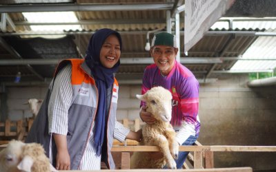 Pemberdayaan Peternak Kambing Rumah Zakat di Bojanegara Dorong Kemandirian Ekonomi Desa