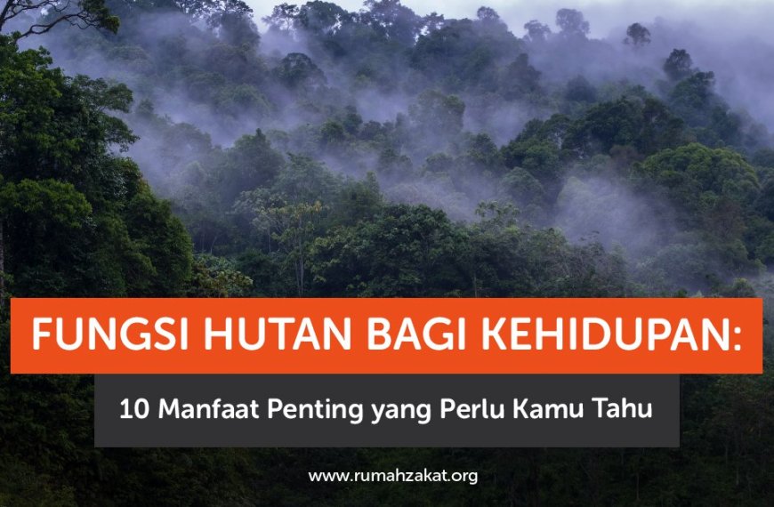 Ilustrasi fungsi hutan bagi kehidupan manusia dan lingkungan