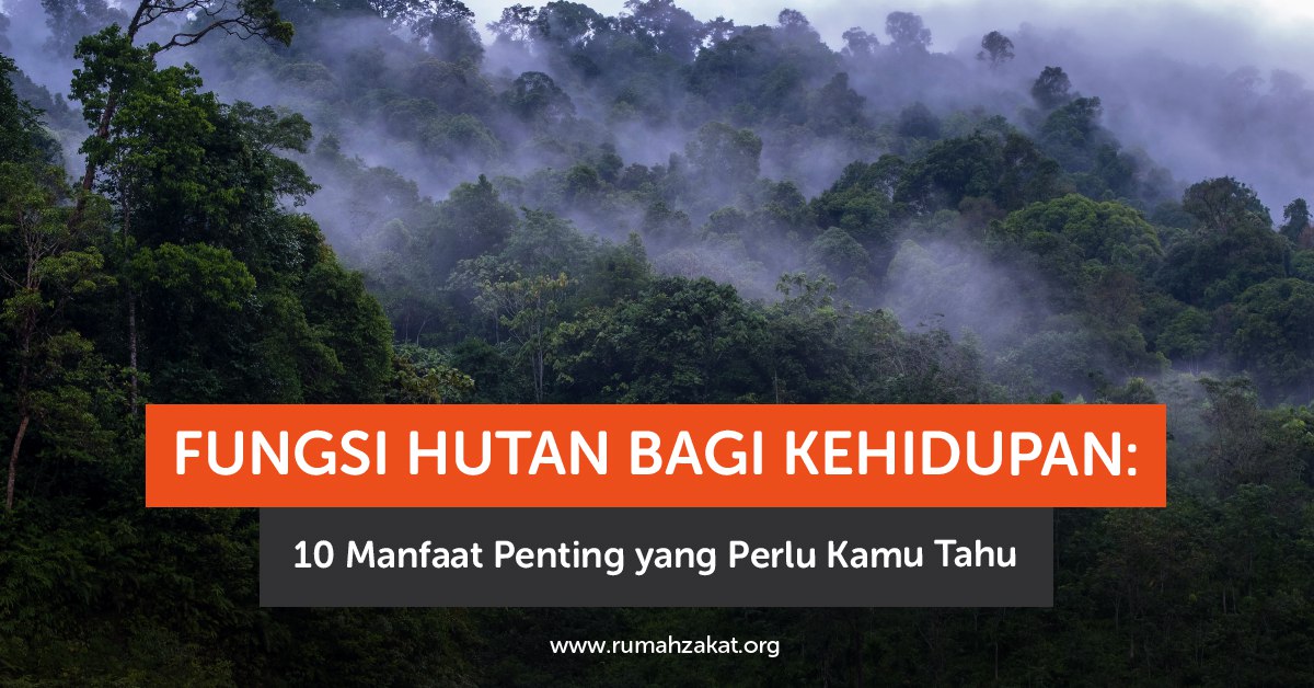 photo_2025-12-15_07-12-38 Ilustrasi fungsi hutan bagi kehidupan manusia dan lingkungan