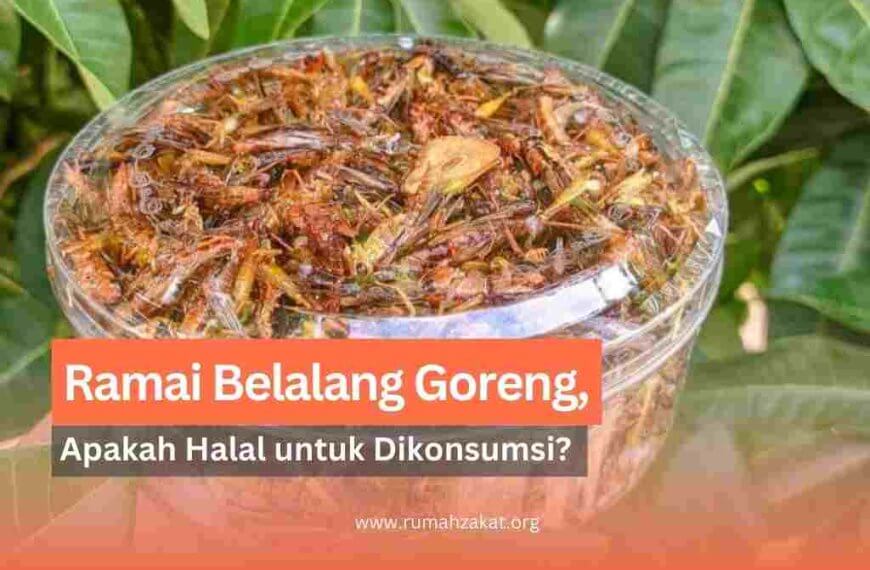 apakah belalang halal