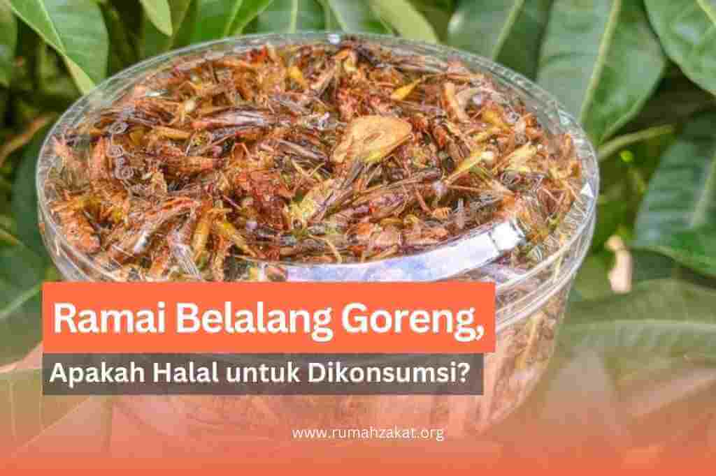 apakah belalang halal