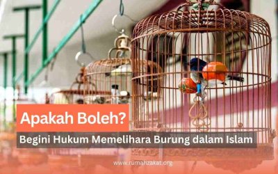 Apakah Boleh Memelihara Burung di Rumah? Ini Hukumnya dalam Islam