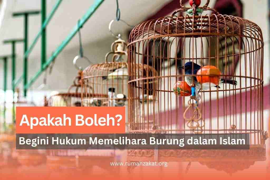 hukum memelihara burung dalam islam