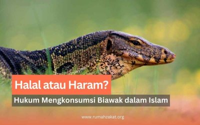 Biawak Kerap Dikonsumsi Sebagian Orang, Tapi Apa Hukumnya Menurut Islam?