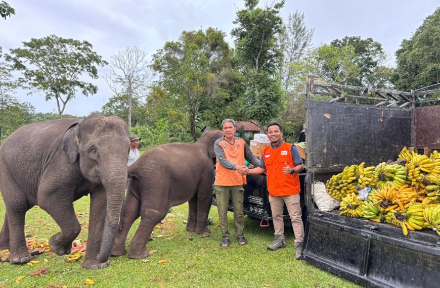 Bantuan Gajah Sumatera Aceh oleh Bunda-bunda Agung Karmalogy bersama Rumah Zakat