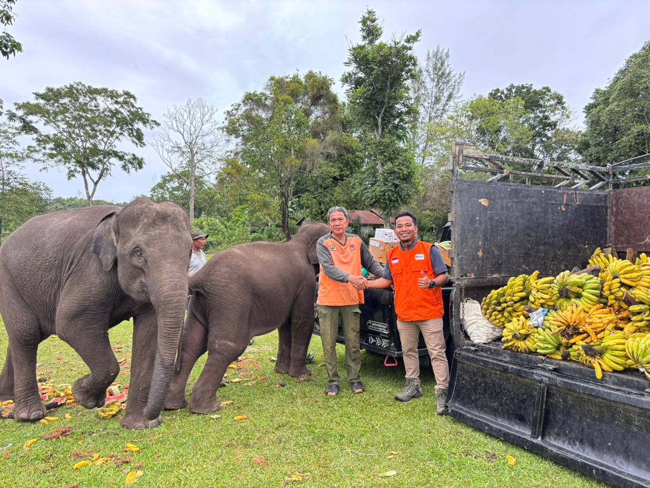 WhatsApp Image 2026-02-18 at 20.06.46 Bantuan Gajah Sumatera Aceh oleh Bunda-bunda Agung Karmalogy bersama Rumah Zakat